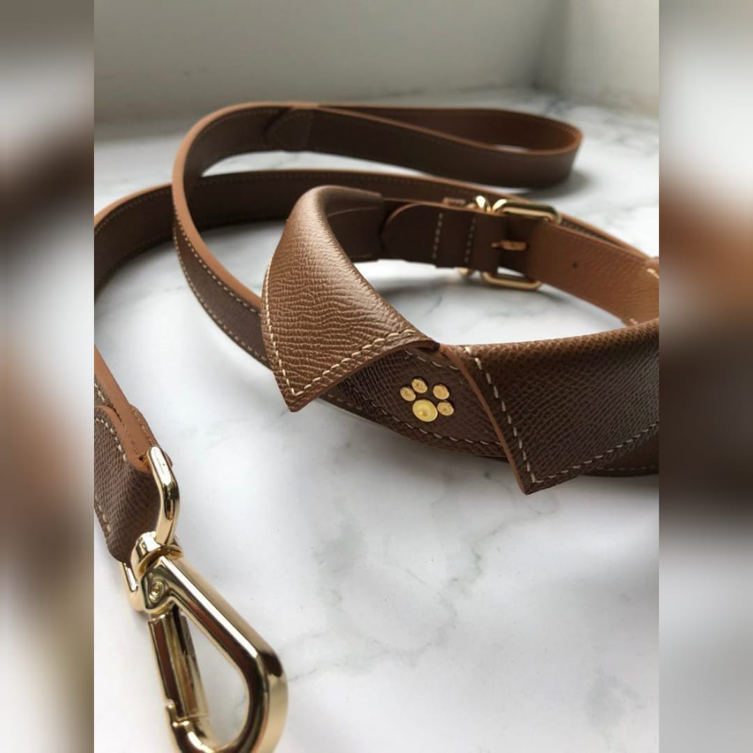 🐕 Collars & Leashes
