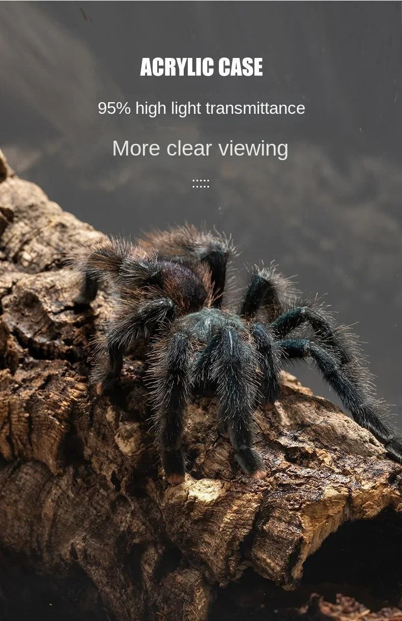Reptile Habitat Terrarium Breeding Box Acrylic Case Nano Arboreal Tarantula Enclosure Spider Scorpion Bearded Dragon Habitat